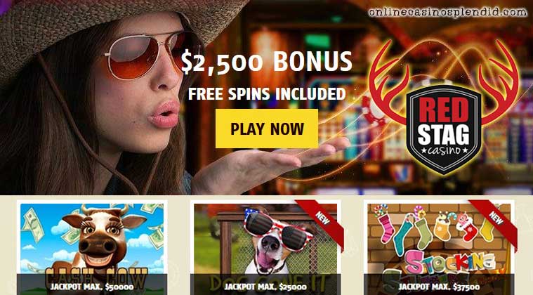 red stag casino review welcome bonus
